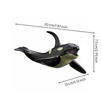Realistic Animal Model Screen Play Marine Mammal Toy Cetacean Figure Figurine for Learning