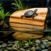 Natural Turtle Basking Platform with Anti-Slip Steps and Hiding Cave for Aquarium Decor
