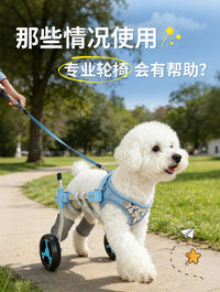 宠物伸缩后肢轮椅狗残疾辅助行走器外伤老龄站立支架老年犬助步车