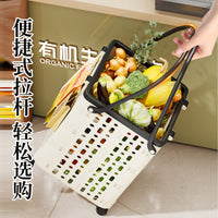 Shopping Cart with Handle for Home and Store Use