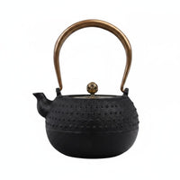 Cast Iron Teapot Traditional Japanese Tetsubin Easy to Clean