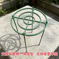 花支架月季花架植物盆室内花卉支撑杆园艺绿萝支架爬藤架客厅绿植