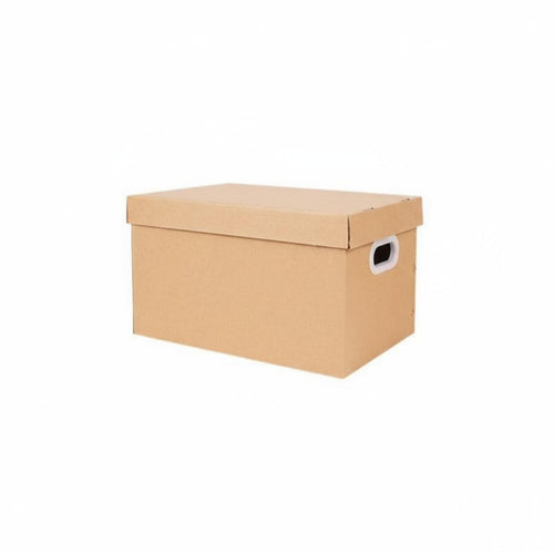 Collapsible document box with Lid Foldable Document Container multi-purpose for Home