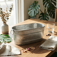 Galvanized Metal Ice Container Easy to Clean Galvanized Ice Container Carry
