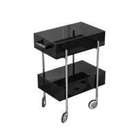 2-Tier Rolling Utility Trolley Light Luxury Design 2-Tier Utility Utility