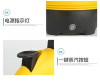 高温蒸汽清洁机手持便携式厨房油烟机蒸汽消毒器清洗机器清洁用品