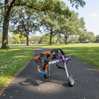 Dog Wheelchair Lightweight Rear Leg Mobility Cart Adjustable for Rehabilitation