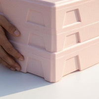 5 Pieces Expanded Polypropylene Insulated Box Molded Structure Rectangular Insulated Box Thermal Chill Carton Recessed Side