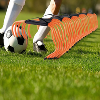 Mickey Tree Basketball Cone Marker Bucket Pole Obstacle Pile Ice Cream Cone Football Training Auxiliary Equipment Disc