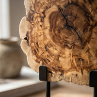 Wood Slice on Stand Natural Ornament Kiln-Dried for Entryway