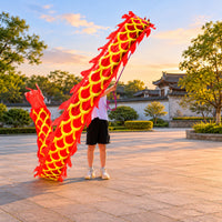Dragon Dance Prop Scale Pattern Festival Item for Performance, Children