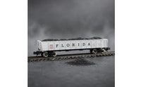 Detailed Lettering Florida FEC Carbon Car Exact Fit N Scale Freight Car Miniature Accessory Hopper Load Insert Easy Installation for Railway Collectors, Miniature Scene