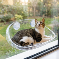 Cat Window Hammock, Suction Cup Type, Large Size, 50x30.5cm, Load Capacity 5.44kg, For Sunbathing & Stress Relief