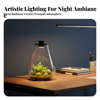 With LED Light Micro Landscape Bottle High Clarity Lichen Terrarium Bottle Elegant Design for Hobbyists, Tabletop, Living Room, Bookshelf