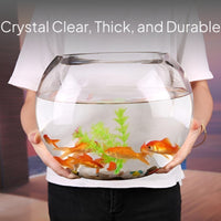 Large Round Glass Fish Bowl, Thickened Desktop Habitat