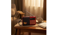 Telescopic Antenna AM AM and Radio Band Pocket Radio Carrying Strap Portable Radio Compact Body Audio Device Speaker Grille