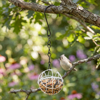 Decorative Hanging Wire Cage Metal Wire Cage Holder Rustic Birdcage Holder with Chain Versatile for Entryway