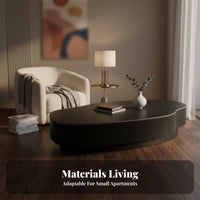 Bean Shaped Coffee Table Minimalist design Storage Coffee Table Luxury Design distinctive Shape for Adults