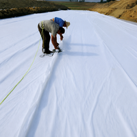 Composite Geomembrane for Artificial Ponds, Two-Layer, White