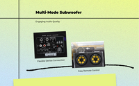 Portable car subwoofer