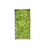 artificial Foliage Easy to Use Decorative Spreading Ground Cover-Maintenance Plants for Crafters, Florists, Home Decor, Terrariums