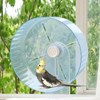 Parrot Activity Wheel and Bird Exercise Wheel with Flat Perch, Parrot Play Accessory for Budgie and Cockatiel Enrichment