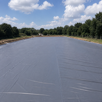 HDPE Waterproof Sheet Impermeable Sheet Black Geomembrane For Aquaculture Ponds Reservoirs Agricultural Ponds