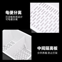 乌龟保温盒发色专用养龟缸孵化饲养箱黄缘龟蛋龟育苗隔离盒沉淀板