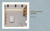Dimmable LED COB ceiling spotlight