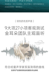 维迈通V10X V10S XR头盔蓝牙耳机摩托车骑行对讲机内置JBL单元