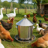 Hanging Chicken Feeder for Chickens, Anti Spill Galvanised Steel Poultry Feeder, Outdoor Weather Resistant for Dry Feed