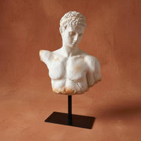 French Bust Figurine Artistic Male Torso Statue Tabletop Display for Living Room