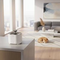 Rechargeable Kitty Fountain Easy to Clean Pet Care Item Large Capacity