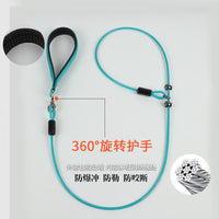 Dog Leash with P-Chain for Small, Medium, and Large Dogs