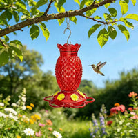蜂鸟喂水器鸟喂食器户外花园野生鸟类喂食工具Hummingbird Feeder