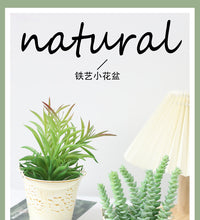 Mini Vintage Iron Bucket Flower Pot for Succulents, Desktop Decor