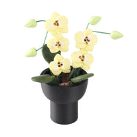 Lizola Miniature Clay Orchid Model for Dollhouse Pretend Play