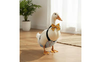 Duck Diaper Washable Pet Accessory Waterproof