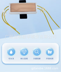Forearm Venipuncture Training Model for Injection, Blood Transfusion, and Blood Draw