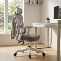 Waist Support Ergonomic Mesh Chair Adjustable Armrests Work Seat