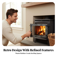 Cast Iron Fireplace Door, Glass Panel, Black Handle, Grill