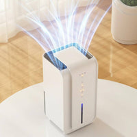 Electric Dehumidifier Modern Finish Indoor Appliance Touch Controls