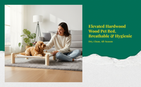 Elevated Dog Bed, Breathable Mesh, Non-Slip, Indoor/Outdoor