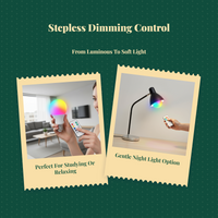 RGB LED Bulb, 16 Colors, Dimmable, E27 Remote, Mood Light