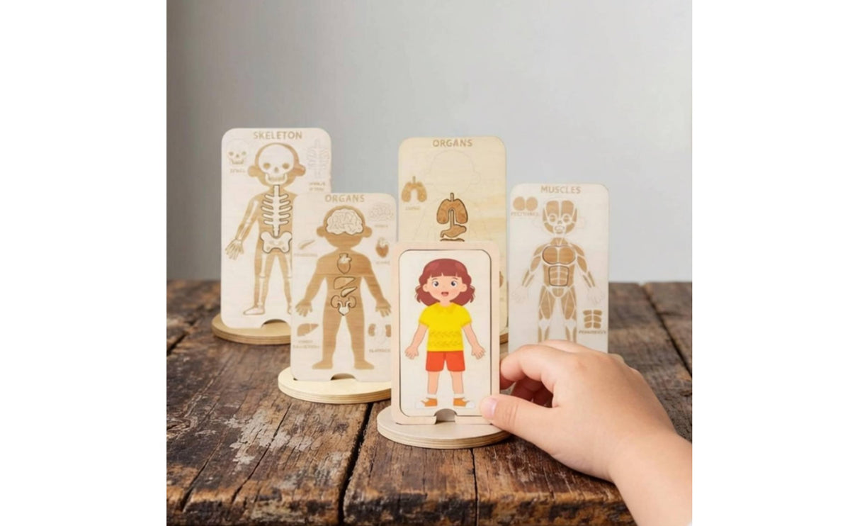 Wooden Body Structure Learning Toy Educational Human Puzzle Multi-Layer Design Kids Body Structure Puzzle for Preschoolers, Young Children
