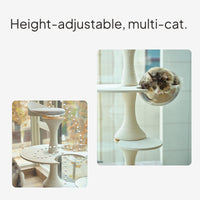 Solid Wood Modular Cat Tower Floor-to-Ceiling Condo