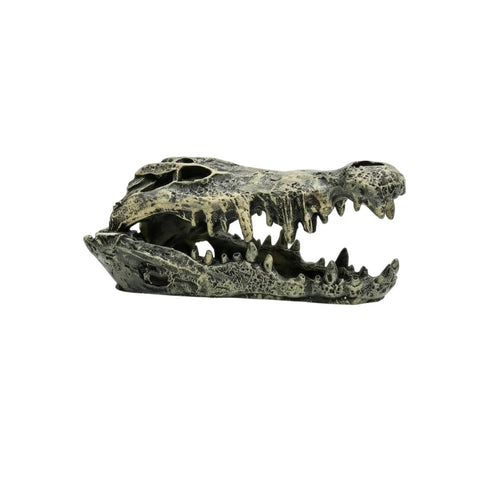 Skull Hideout Weathered Hiding Place Natural-Looking for Terrarium, Reptiles