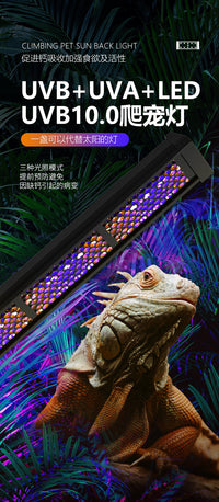 Reptile UVB 10.0 Basking Light Bar, 4W/8W/12W, DC12V, US Plug