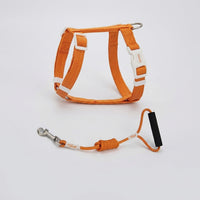 Kitten Harness and Cat Leash Set, Adjustable Polyester H-Style Travel Harness with 150cm Kitten Leash, Buckle Closure for Outdoor Pet Walking