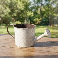 Watering Can with Long Spout Textured Vessel Modern for Balcony